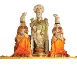 Violin Music Classes